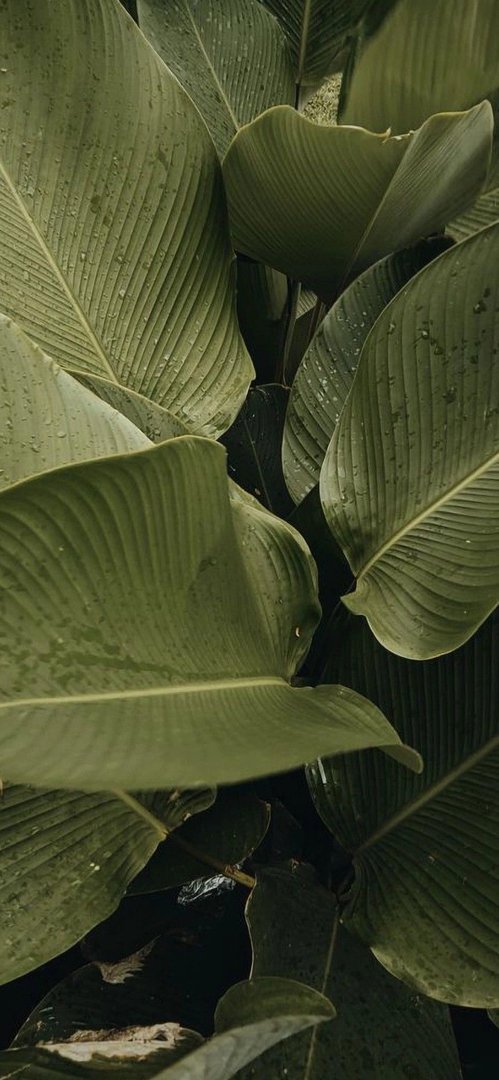 Evgenia Esthetician (Skin Care and Body Sculpting)