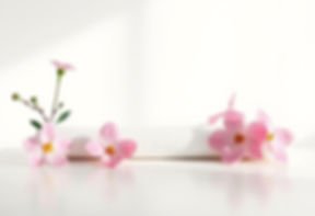 Marina Esthetic Studio, LLC