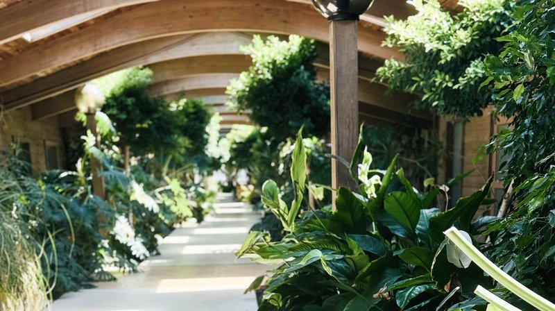 Nirvana Skin & Beauty LLC - Med Spa in Charlotte, NC